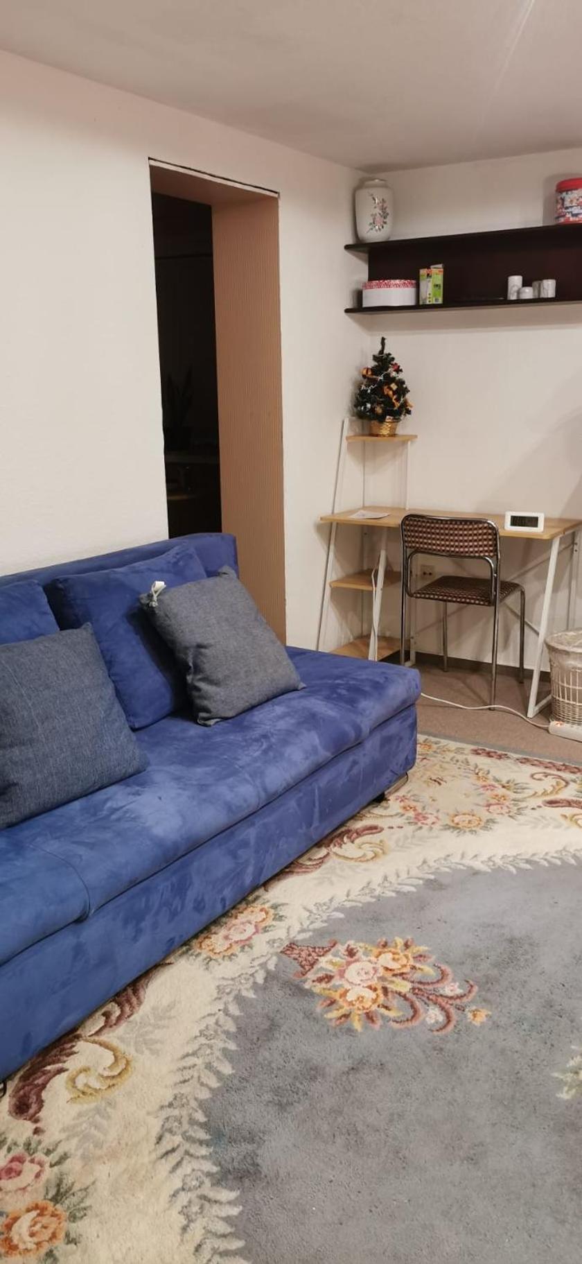Ferienwohnung Tymoshenko アルテンアウ エクステリア 写真
